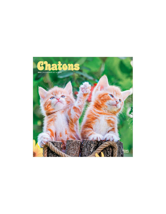 Chatons - Calendrier 2027 (Français)