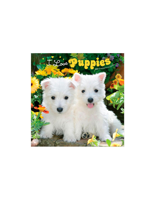 I Love Puppies - Calendrier 2027 (Anglais)