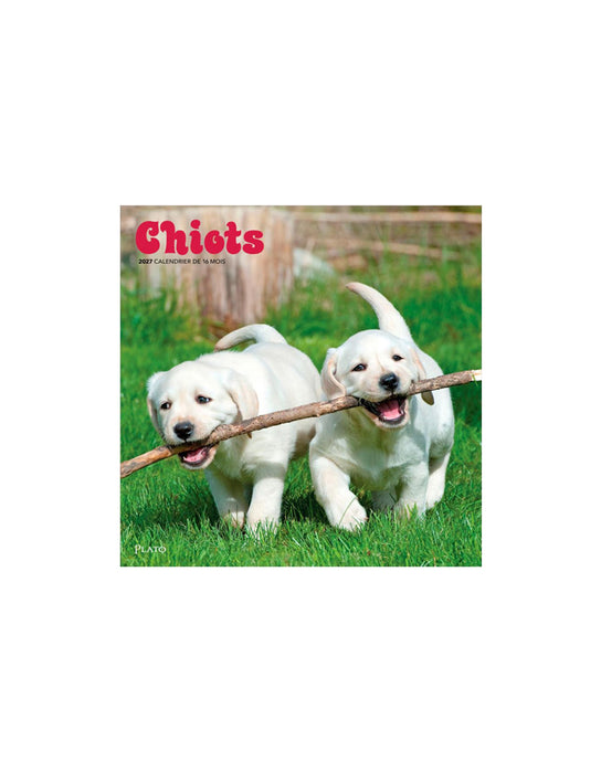 Chiots - Calendrier 2027 (Français)