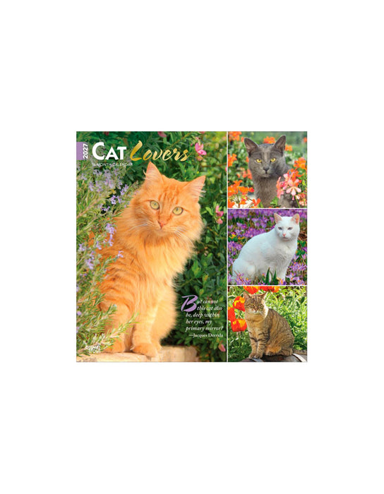 Cat Lovers - Calendrier 2027 (Anglais)