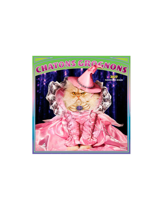 Chatons Grognons - 2027 Calendar (French)