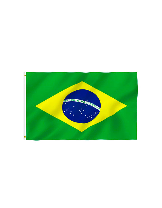 Brésil - Grand drapeau