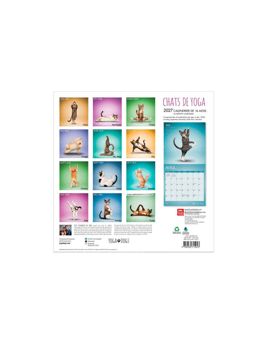 Chats de Yoga - Calendrier 2027 (Français)