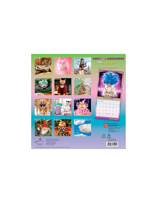 Chatons Grognons - 2027 Calendar (French)