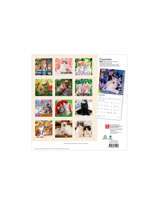 Chatons - Calendrier 2027 (Français)
