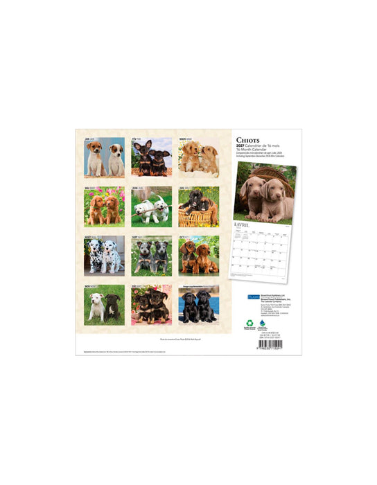 Chiots - Calendrier 2027 (Français)