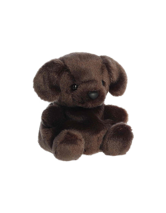 Palm Pals - Sienna Chocolate Lab