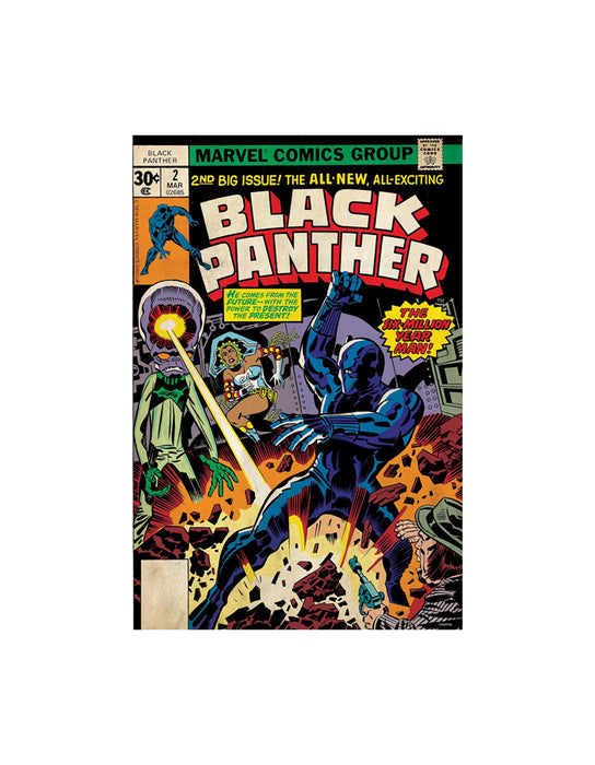 Marvel - Casse-tête de Black Panther (300 pièces)