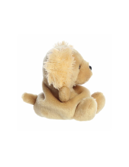 Palm Pals - Oatmeal Goldendoodle