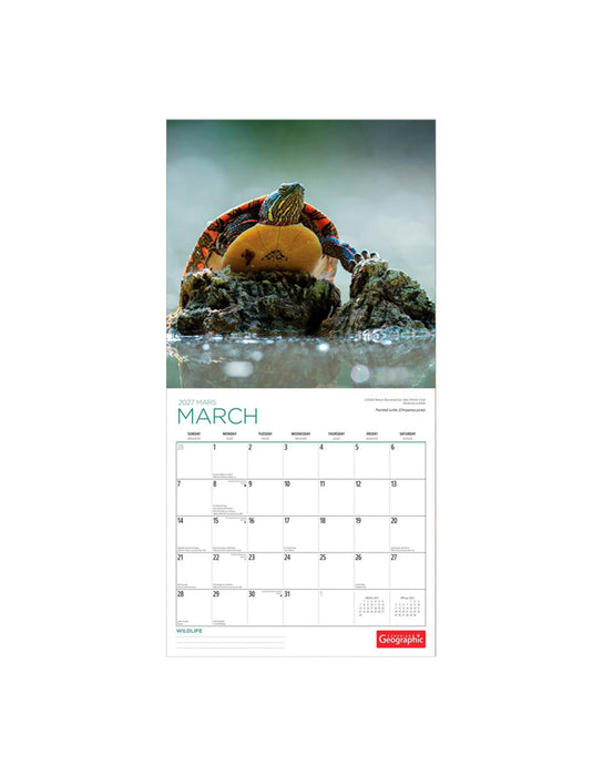 Canadian Geographic Wildlife - 2027 Calendar (Bilingual)