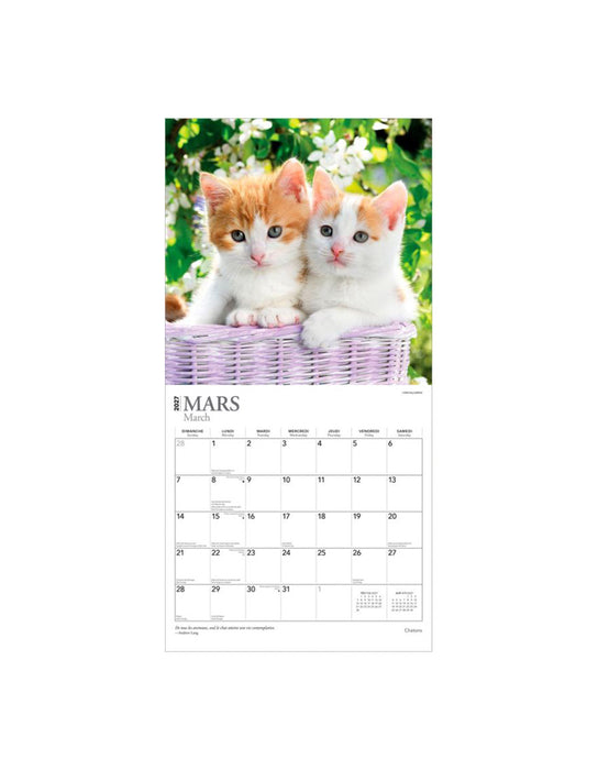 Chatons - Calendrier 2027 (Français)