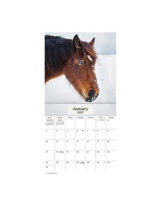ART - Calendrier Chevaux 2026-27 (Bilingue)