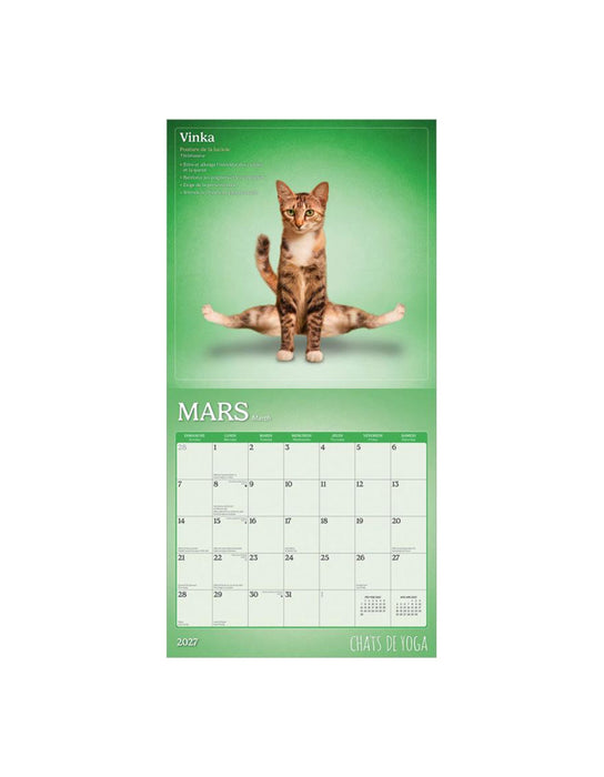 Chats de Yoga - Calendrier 2027 (Français)