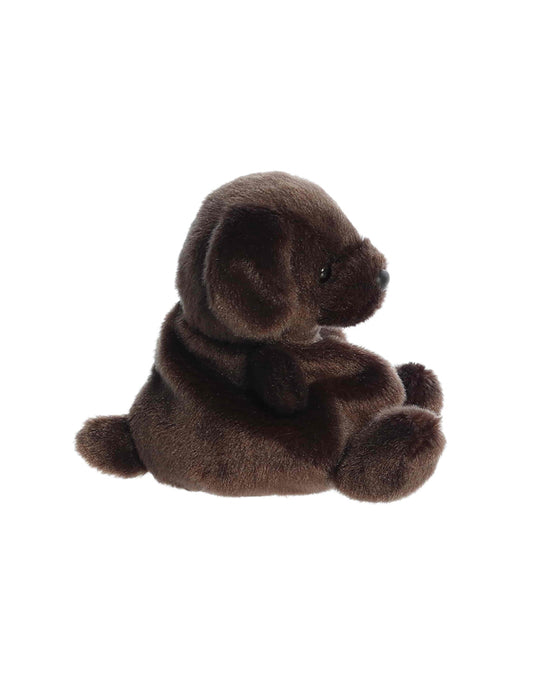Palm Pals - Sienna Chocolate Lab