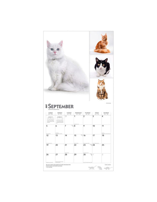 Cat Lovers - Calendrier 2027 (Anglais)