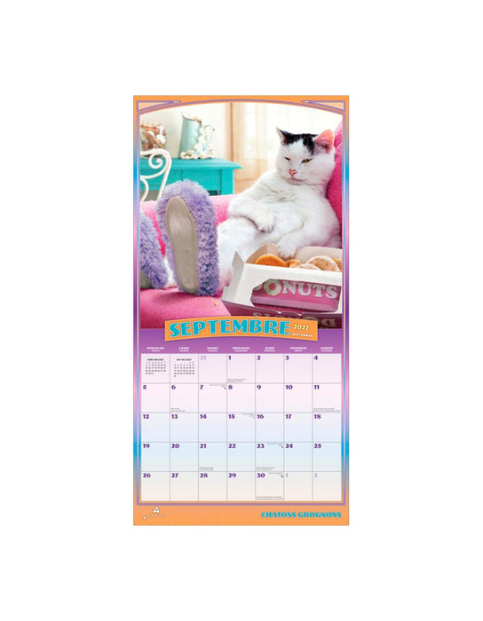 Chatons Grognons - 2027 Calendar (French)