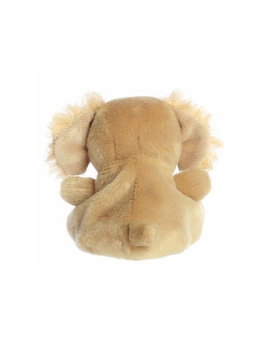 Palm Pals - Oatmeal Goldendoodle