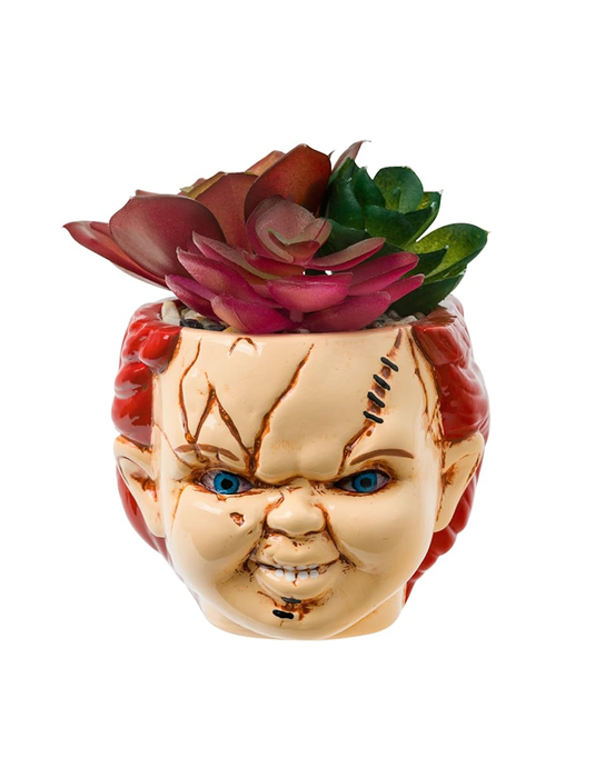Chucky - Mini plante